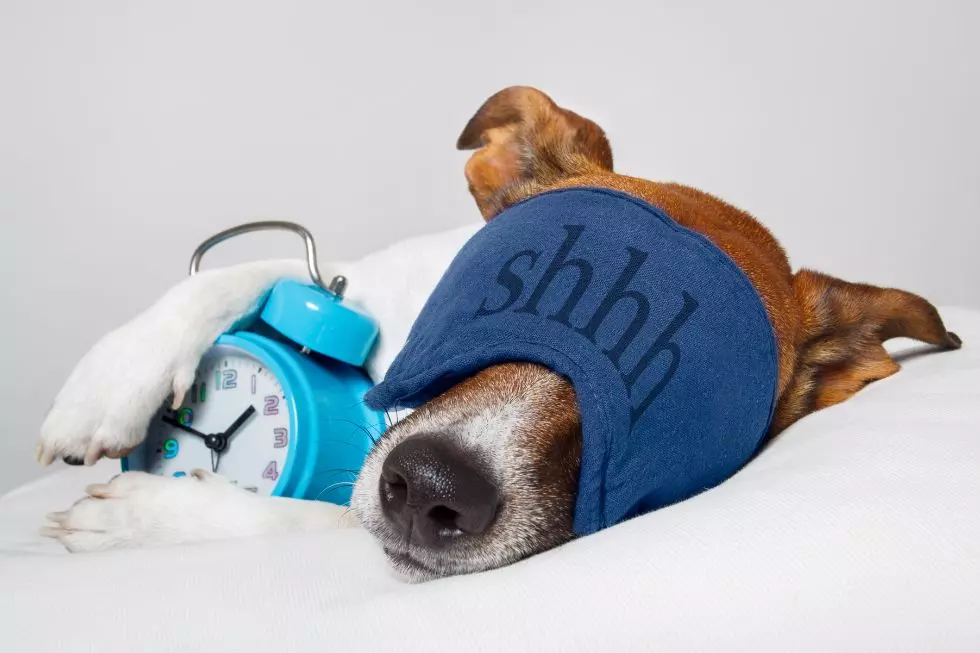 Transform Your Night’s Sleep With These Subscriptions!