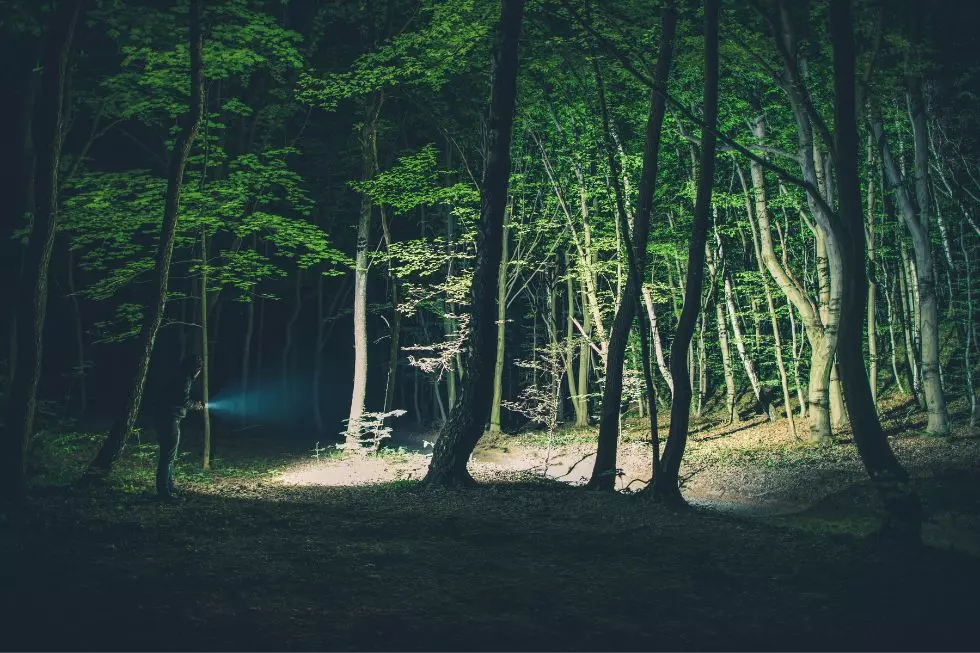 Step Into the Realm of the Unknown!